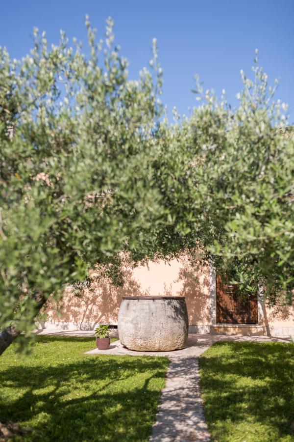 Bed and Breakfast Bb Olive à Seget  Extérieur photo